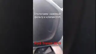 Отключаем EGR и сажевый фильтр на Ford Transit 2019 года 