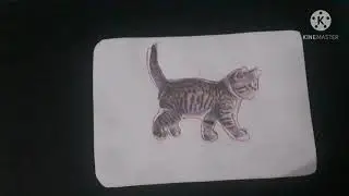 Montesori Animal Puzzle