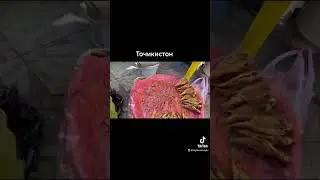 Мохибирён Таджикистан 