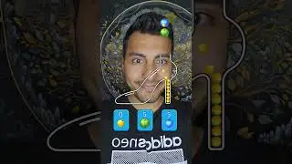 Fruit puzzle brain test game 