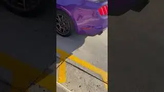 Badass Purple Mustang GT Revving in Chick-Fil-A Drive Thru