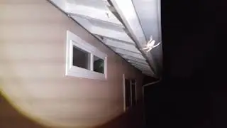 Big ass spider