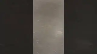 A wheel in a Walmart cart acting weird for 6 minutes.