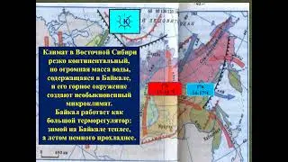 Сибирь гп
