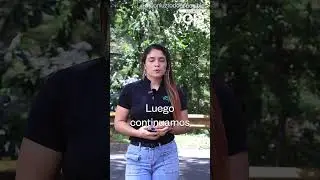 Ilumina tus proyectos con precisión: Reflector LED Slim G3 y DIALUX, la alianza perfecta