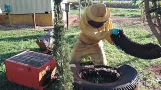 TRUCK TIRE API TRANSFER | BREEDING BEES!