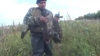 удачный подход 4 утки