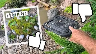 How I Hid my Pond Skimmer Lid with Rocks & Plants