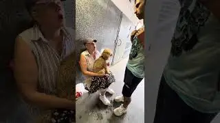 Добрые дела. Помощь животным. Помощь пенсионерам.