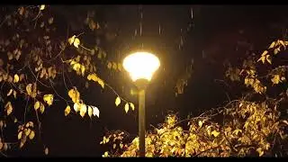 Sound Healing For Stress Release, Peaceful Sleep, Deep Meditation