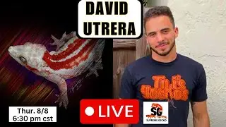 Tikis Geckos' David Utrera - Gecko Breeding Expert    🦎🦎
