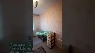 22 октября 2024 г.
