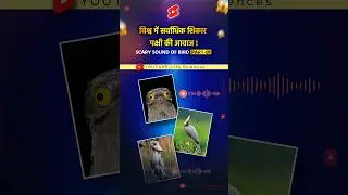 दुनिया के सबसे डरावने आवाज 😱😨 #trending #amazing #shorts #fyp #viral #biology #sound #amazingfacts
