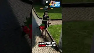 Интересные номера в Amazing Online #amazing #crmpamazingrp #gta