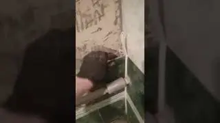 Демонтаж плитки без перфоратора