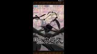 New 6* Sabo/Koala vs New 50 Stamina Morley Colo
