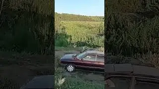 чудная долина