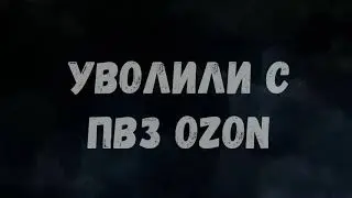 Как меня уволили с ПВЗ OZON из-за видео (VLOG)