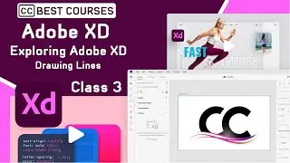Drawing Lines Exploring Adobe XD Class 3