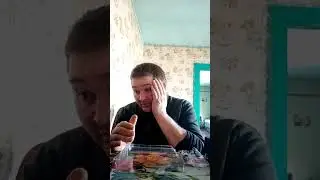 9 марта 2023 г.