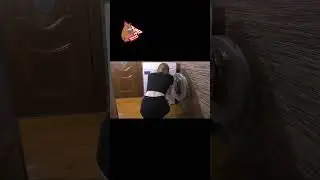 Что за модель стиралки? #shorts