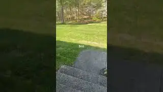 бро