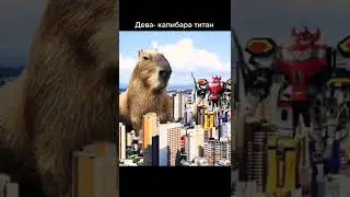 тупой овощ стал зависим от капибар 