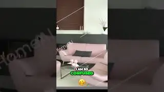 YIKES. Design fail by AI tool (Reimagine Home AI) 