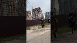 Понедельник 26 июня Москва