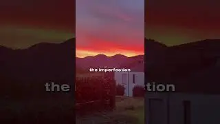 #forgiveness #trust #bitterness