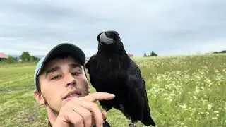 Ловим кузнечиков и едем на съёмки сказки в Карелию.