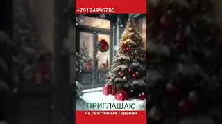 26 декабря 2023 г.