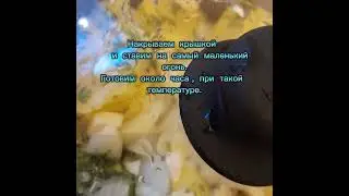 Вкусное мясо  с  овощами  , томленые.Все делаем все  в одной кастрюле, тушим.