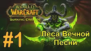 #1 Остров Солнечного Скитальца -  Леса Вечной Песни [WoW: Burning Crusade]