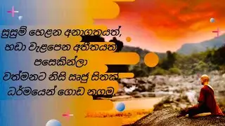 සුසුම් හෙලන අනාගතයක් හඬා වැළපෙන අතීතයත් පසෙකින් ලා වත්මනට නිසි සෘජු සිතක් ධර්මයෙන් ගොඩනගමු.