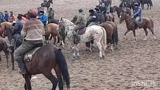 Ноокат улак!🔥🔥🔥🐎. Золотой ат.Дончак