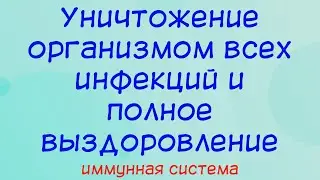 Destruction of all infections by the body and complete recovery
