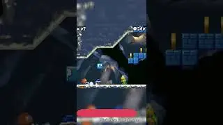 The Worst Power Up in Any Mario Game