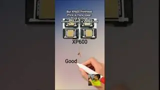 I3200 Printhead Is Good?How to Compare Printhead Between I3200 And XP600.