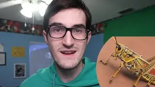 Scared of a Grasshopper! (Not Clickbait)