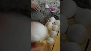 Играю с сыном. Артикул можно найти в Инстаграмм по ссылке в профиле