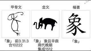 The character of 象 or image