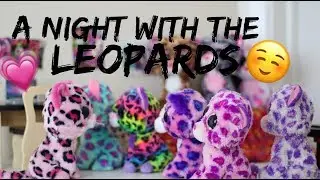 Beanie Boo Studios - A Night With The Leopards (Leopard Family Ep2)