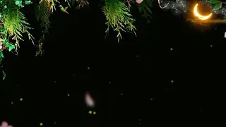 Tree Leaves Falling Black Screen /Background Video Effects hd / New Template Video Background