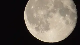 Full Moon 🔵👀. 🎦 👀. @redfox111 🎥  🆙 21/08/24. ‼️👈.   🔵