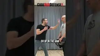 Realistic Knife Attack Scenario - Code Red Defense