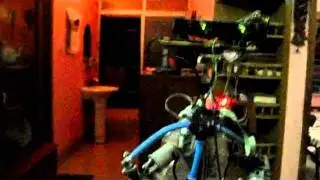 ICARUS (Humanoid Robot), Demonstration of simple bipedal motion