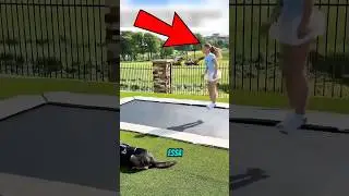 The dog saved this girl! 