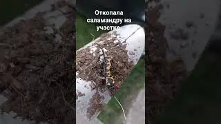 15 июля 2023 г.