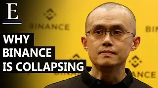 Why Binance Is Collapsing ?